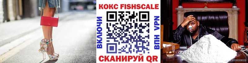 Cocaine Fish Scale  mega сайт  Ильский 