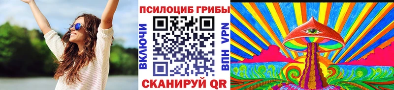 blacksprut tor  Ильский  Псилоцибиновые грибы Cubensis 